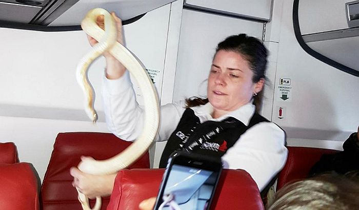 Putnik izgubio zmiju u avionu