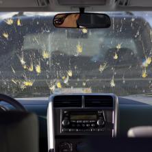 REŠITE SE GAMADI: Šta uraditi sa zalepljenim i zapečenim insektima na automobilu?
