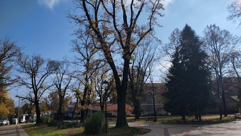 RHMZ: Od utorka sve toplije