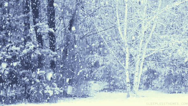 RHMZ: Upozorenje, snežne padavine širom Srbije!