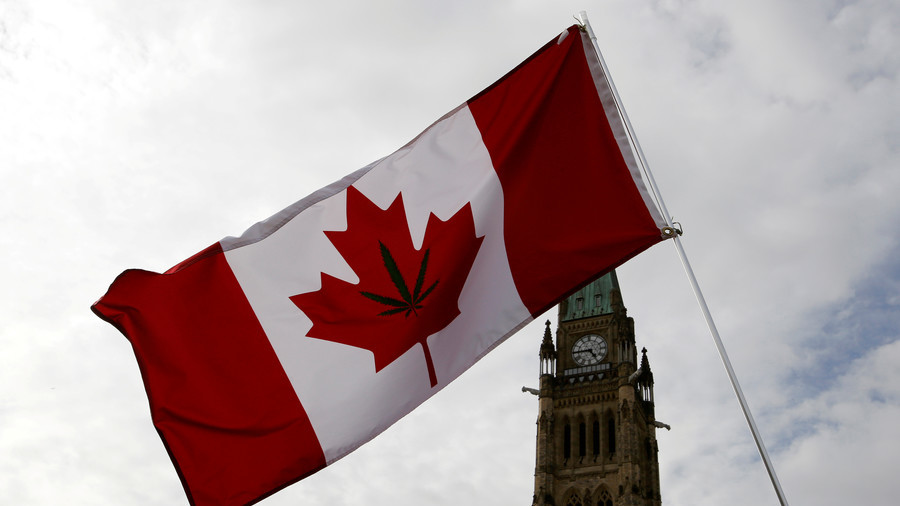 RT: Kanada iglasala legalizaciju kanabisa u „rekreativne svrhe“
