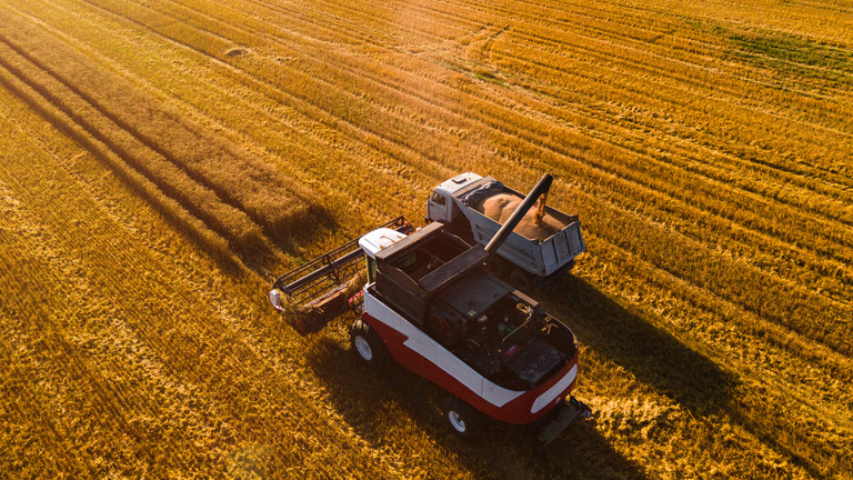 RT: Rusija čini 20 odsto svetskog izvoza pšenice – ministar