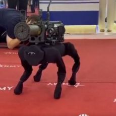 RUSI NAPRAVILI ROBOTA UBICU! Konstruisan u obliku psa, njegove borbene karakteristike su neverovatne (VIDEO)