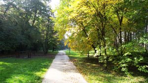 Radenović: Planirana izgradnja nova četiri parka u Novom Sadu