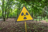 Radijacija u Temišvaru; Direktorat za nuklearnu bezbednost Srbije: Pratimo situaciju