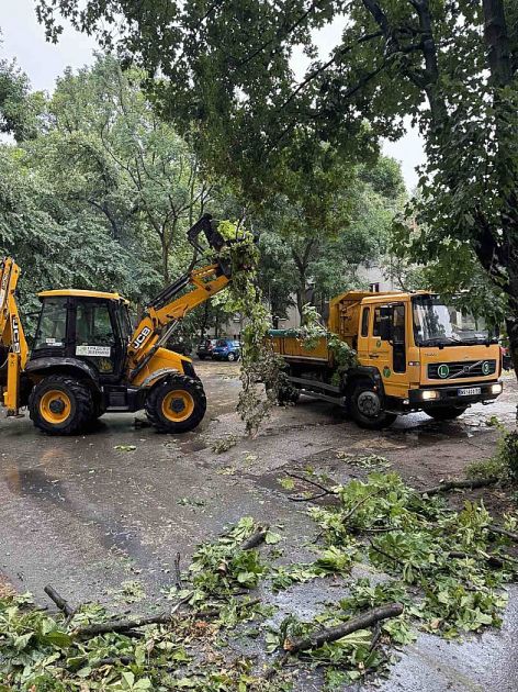 Radnici „Gradskog zelenila“ juče sanirali posledice nevremena na više od 40 lokacija