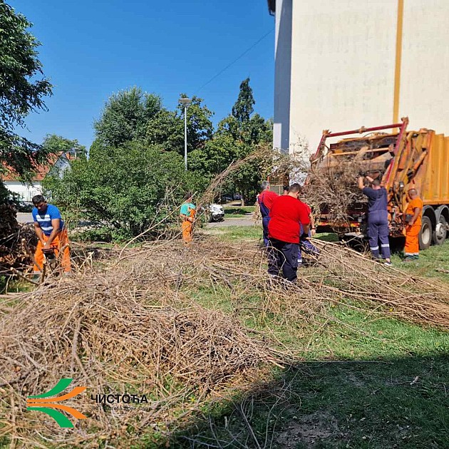Radnici JKP „Čistoća“ i JKP „Novosadska toplane“ uklanjaju granje i otpad sa dečjih igrališta