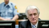 Radovan Karadžić: Doživotna kazna za ratne zločine