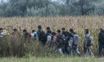 Ranjen imigrant u blizini Horgoša