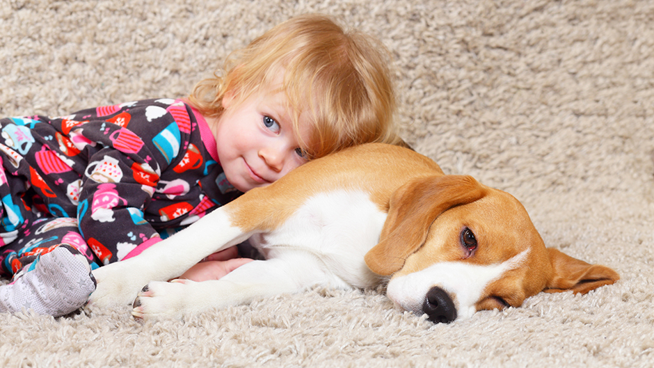 Rase pasa koje se preporučuju za porodice s decom