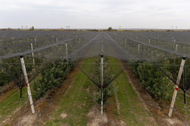 Raspisan Javni poziv za nabavku mašina i opreme za primarnu biljnu proizvodnju