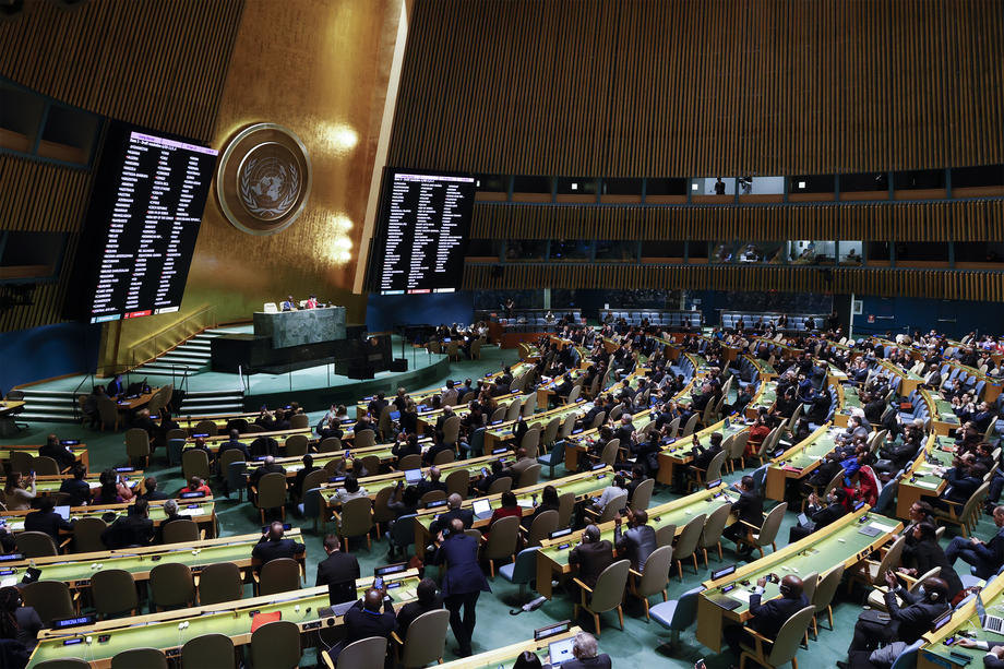 Rasprava u Generalnoj skupštini UN o nacrtu rezolucije kojom se osuđuje rusko pripajanje delova Ukrajine