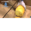 Razbijena banda: U ananasima 745 kg kokaina