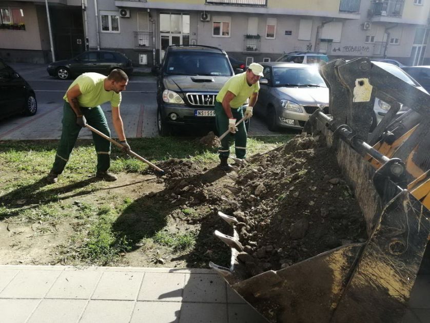Realizacija projekata unapređenja zelenila u Tolstojevoj i ulici Ruđera Boškovića