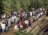 Rebić: 22.000 ljudi sprečeno da ilegalno uđe iz Bugarske i Makedonije
