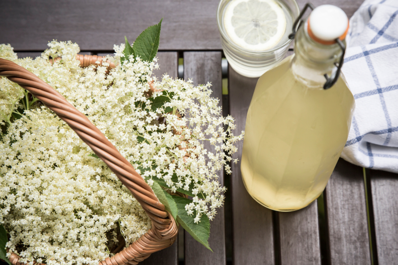 Recept za sirup od zove koji budi uspomene na detinjstvo