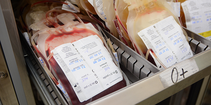 Redovna akcija dobrovoljnog davanja krvi u ponedeljak u Boru