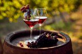 Rekorderi u alkoholizmu: Najviše piju Česi, a stručnjaci otkrivaju ima li Srba na listi