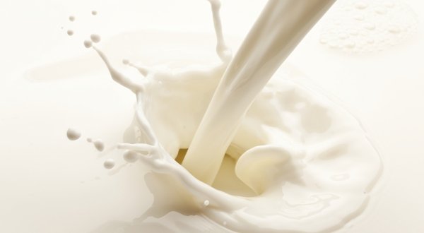 Rekordna proizvodnja mlijeka u 2016. godini