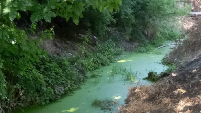 Rešenje za zapušteni Humski potok u Nišu tek naredne godine