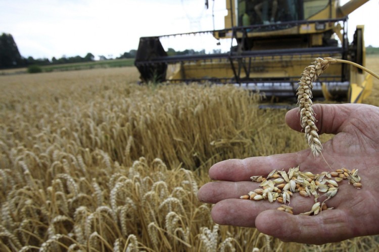 Resorno ministarstvo najavljuje pomoć poljoprivrednicima u Srpskoj