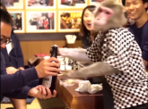 Restoran u kome će vas uslužiti neobični konobari - majmuni