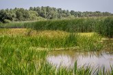 Rezervat biosfere Mura-Drava-Dunav u pet država upisan na listu Uneska