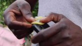 Ribari u Keniji: Kondomi koji spasavaju živote