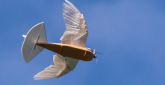 Robot-ptica sa pravim perjem uspešno poleteo VIDEO