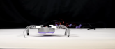 Roboti-insekti koji se prave za manje od dva sata VIDEO