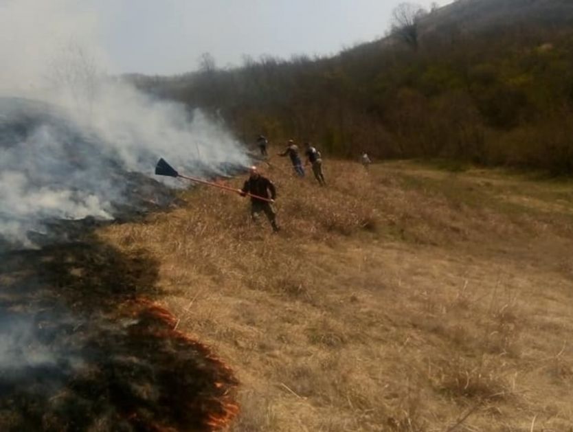 Roštiljali na Fruškoj gori pa napravili požar – vatrogasci 3,5 sata gasili plamen