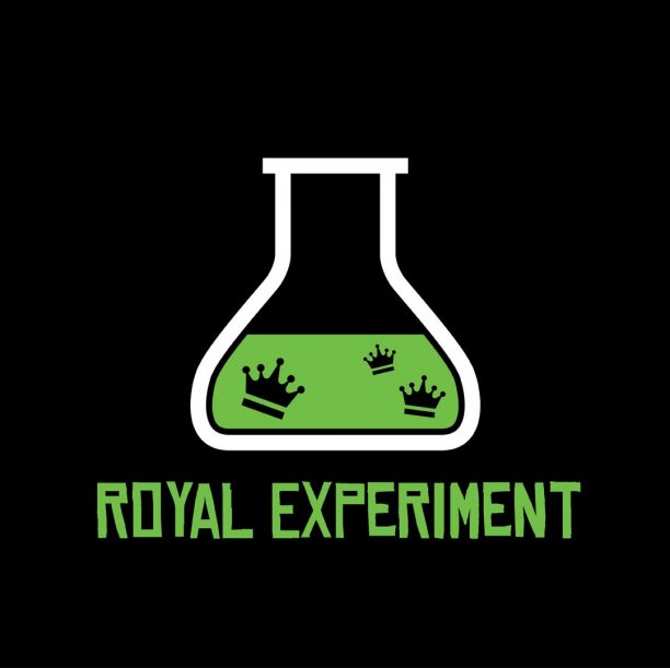 Royal Experiment – novi fusion pop bend na sceni