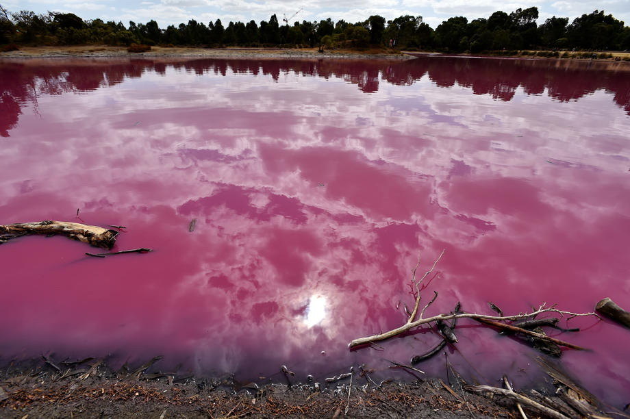 Roze jezero u Pačiru nadomak Bačke Topole šansa za turizam