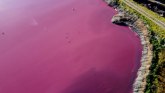 Roze laguna u Argentini  uzrok tome nije lep FOTO