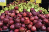 Rusi rekli ne jabukama: Osuđujemo, velika šteta