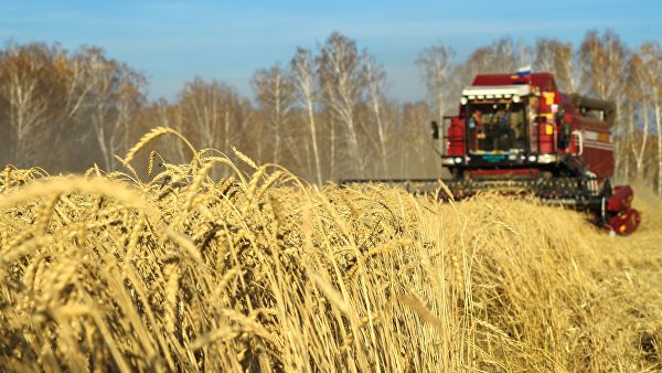 Rusija ove godine očekuje najmanje 118 miliona tona žitarica