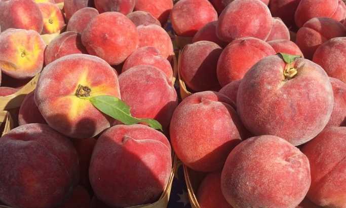 Rusija zabranila koštunjavo voće iz Srbije i Makedonije