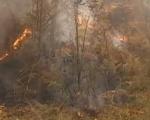 Ruski iljušin stiže u pomoć - bukte požari u Srbiji