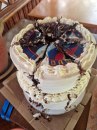 Ruski piloti dobili otrovnu tortu i viski za proslavu diplomiranja