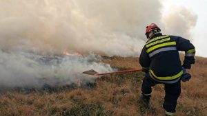 Rusko-srpski centar: Spremni da pomognemo u gašenju požara na jugu Srbije