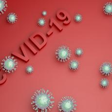 ŠALA OVOG SRBINA POSTALA HIT NA INTERNETU: Da li znate kako se na HRVATSKOM kaže korona virus? 