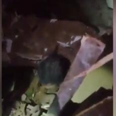 SAMO JE ČUDO SPASILO: Devojčica izvučena živa iz ruševina u Bejrutu, ceo dan je provela ispod ostataka zgrade (VIDEO)
