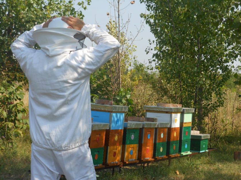 SAMO UZ POSEBNU DOZVOLU: Stariji pčelari ovako će moći do svojih pčelinjaka