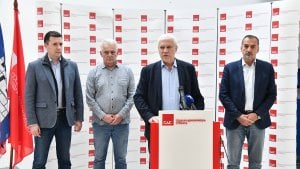 SDS: Promena pičinje 8.juna