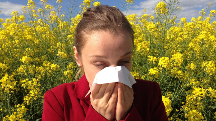 SEZONA ALERGIJA JE PRED NAMA: Saznajte kada se pojavljuju različite vrste polena i ima li uopšte leka