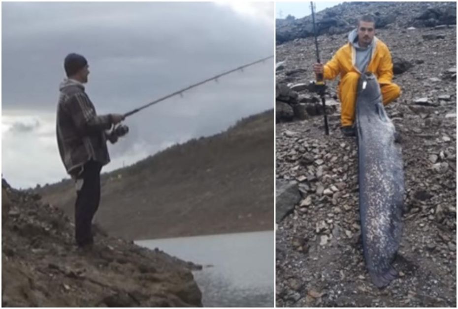 SINIŠA UPECAO SOMA OD 2 METRA: Iz Bilećkog jezera izvukao grdosiju tešku 50 kila (VIDEO)