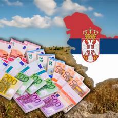 ŠIROM NAŠE ZEMLJE POČINJE NAJZNAČAJNIJA BERBA: Crveno zlato Srbiji donosi 250 miliona dolara