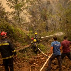 SJAJAN POTEZ BRAĆE GRKA: Niški vatrogasci koji su gasili požar na Eviji dobili besplatno letovanje