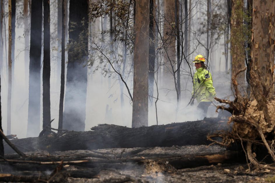 ŠOK TVRDNJE PROFESORA: Australiji treba više požara! Jedino su tamo životinje i biljke naučile da koriste vatru!