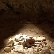 ŠOKATNO OTKRIĆE MENJA SLIKU SVETA: Kosti nalik na ljudske pronađeni u pećini ali pripadaju drugoj vrsti (VIDEO)